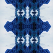 Kvera Blue Horned Blue Bird , archival inkjet print on rag paper, and on wallpaper, 2013